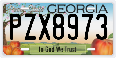 GA license plate PZX8973