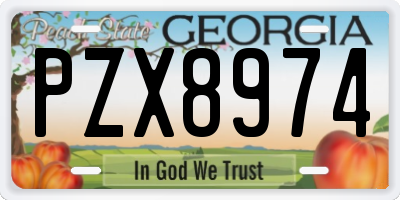 GA license plate PZX8974