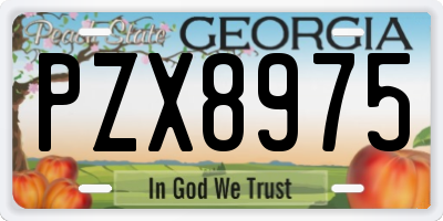 GA license plate PZX8975