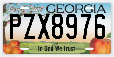 GA license plate PZX8976