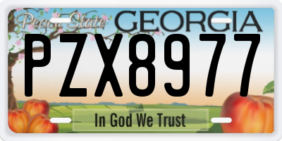 GA license plate PZX8977