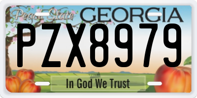 GA license plate PZX8979