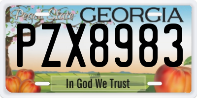 GA license plate PZX8983