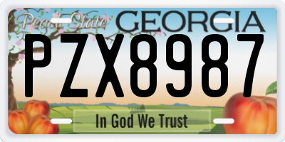 GA license plate PZX8987