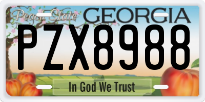 GA license plate PZX8988