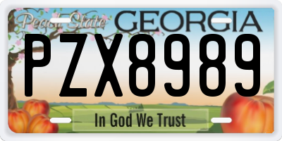 GA license plate PZX8989