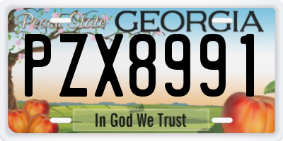 GA license plate PZX8991