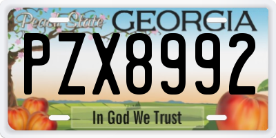 GA license plate PZX8992