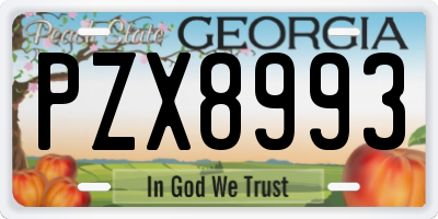 GA license plate PZX8993