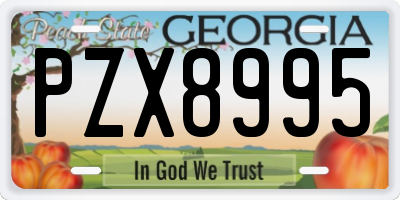 GA license plate PZX8995