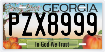 GA license plate PZX8999