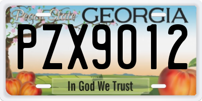 GA license plate PZX9012
