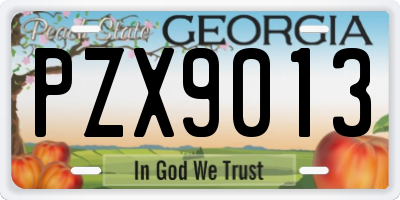 GA license plate PZX9013