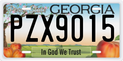 GA license plate PZX9015
