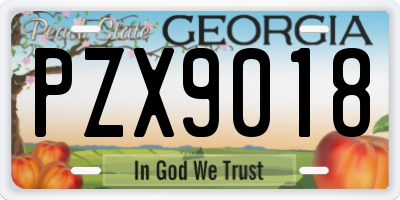 GA license plate PZX9018