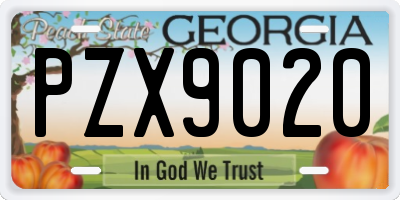GA license plate PZX9020