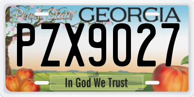 GA license plate PZX9027