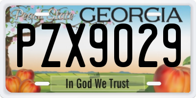 GA license plate PZX9029