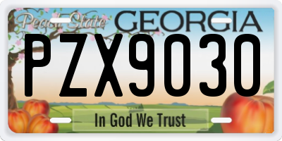 GA license plate PZX9030
