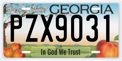 GA license plate PZX9031