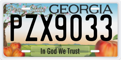 GA license plate PZX9033