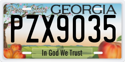 GA license plate PZX9035