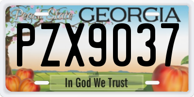 GA license plate PZX9037