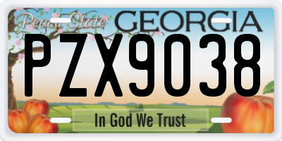 GA license plate PZX9038