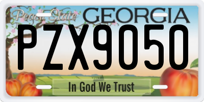GA license plate PZX9050