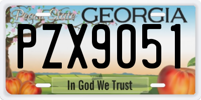 GA license plate PZX9051