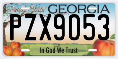 GA license plate PZX9053