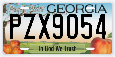 GA license plate PZX9054