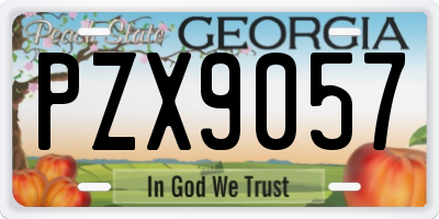 GA license plate PZX9057