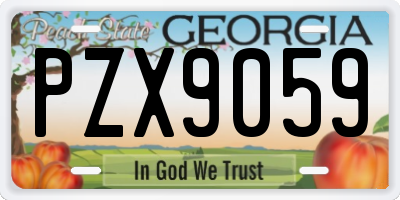 GA license plate PZX9059