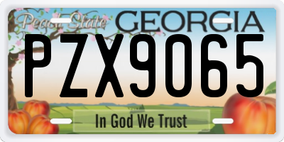 GA license plate PZX9065