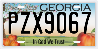 GA license plate PZX9067