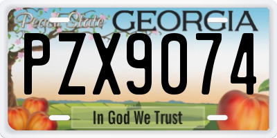 GA license plate PZX9074