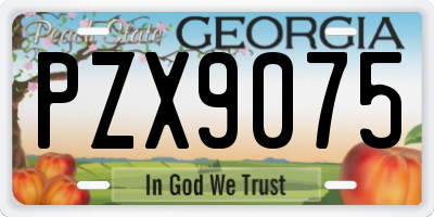 GA license plate PZX9075