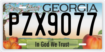 GA license plate PZX9077
