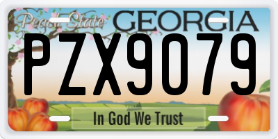 GA license plate PZX9079