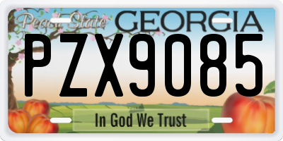 GA license plate PZX9085