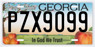 GA license plate PZX9099