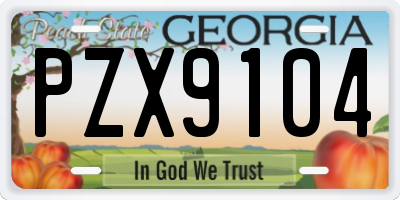 GA license plate PZX9104