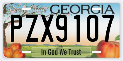 GA license plate PZX9107