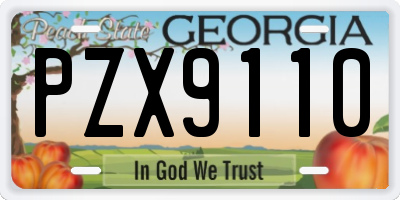 GA license plate PZX9110