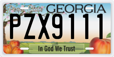 GA license plate PZX9111
