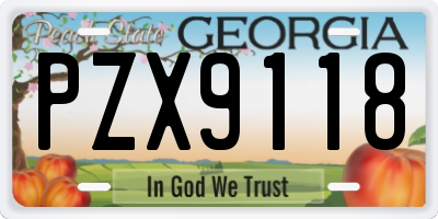 GA license plate PZX9118