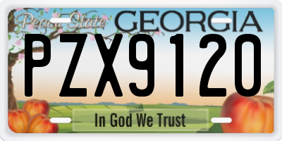GA license plate PZX9120