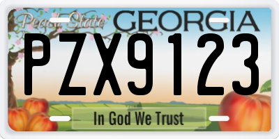 GA license plate PZX9123