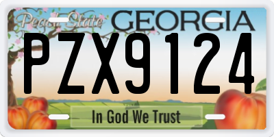 GA license plate PZX9124